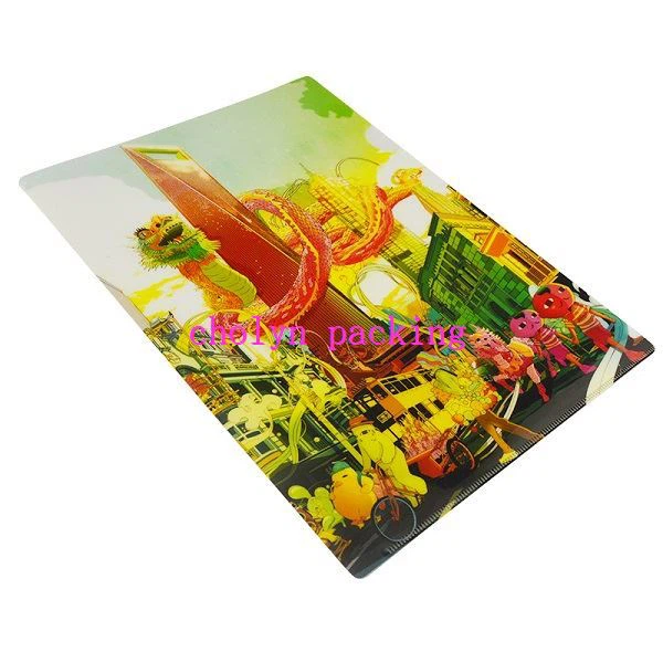 Single Expanding File Folder