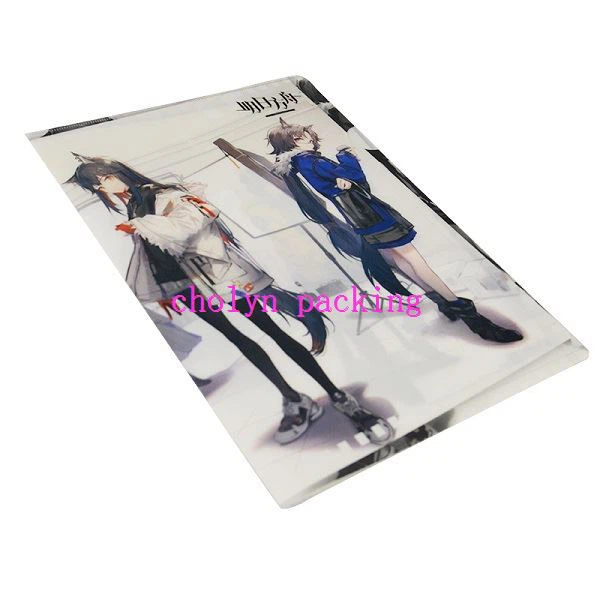 Single Expanding File Folder