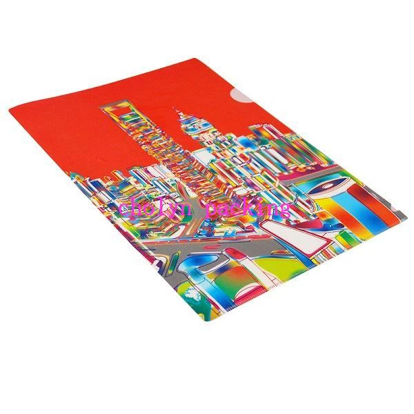 Single Expanding File Folder