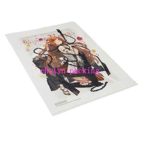 Single Expanding File Folder